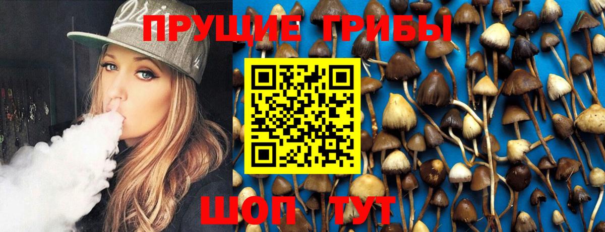 Галлюциногенные грибы MAGIC MUSHROOMS  Псилоцибиновые грибы Psilocybe  Алексеевка  Вход с VPN 